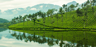 munnar Anayirangal Dam