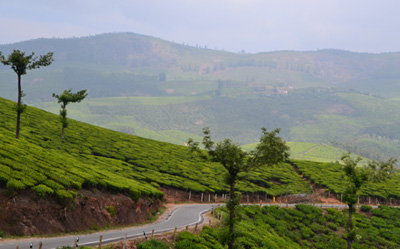 Meltemi Munnar