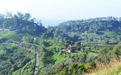 Meltemi Munnar