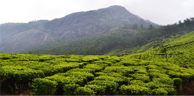 munnar-attractions