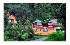 The Bella Vista Resort, Munnar, Kerala, India