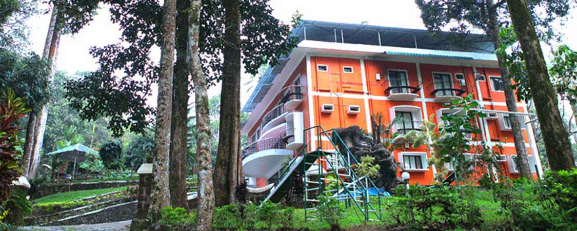 Forest Haven Resort Munnar Kerala India