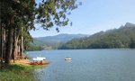 Go trout fishing amidst tea estates Munnar