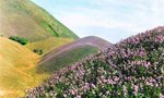 Indulge at the Blossom International Park Munnar