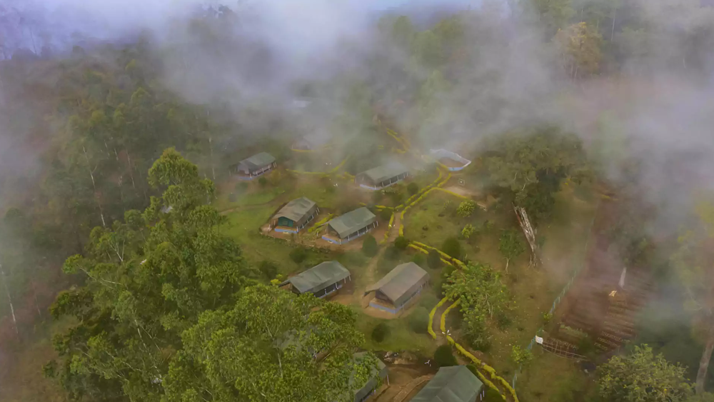 NATURE ZONE JUNGLE RESORT MUNNAR