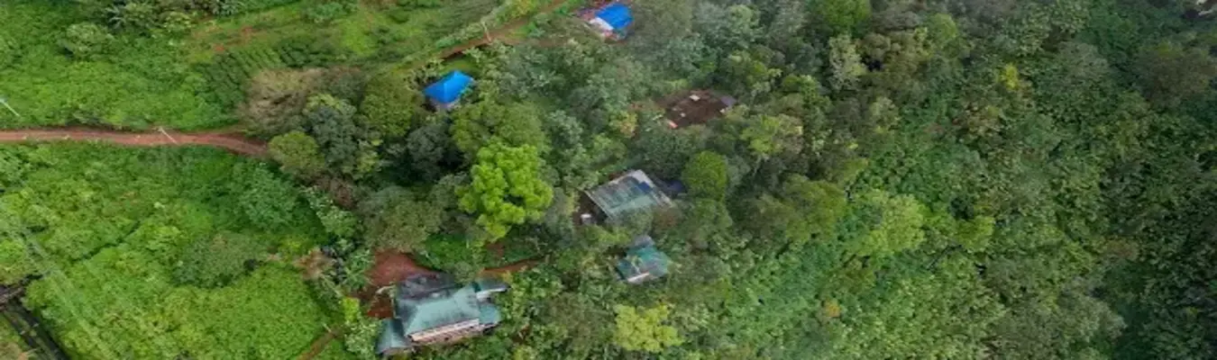 Munnar Homestay Teadrops Plantation Villa