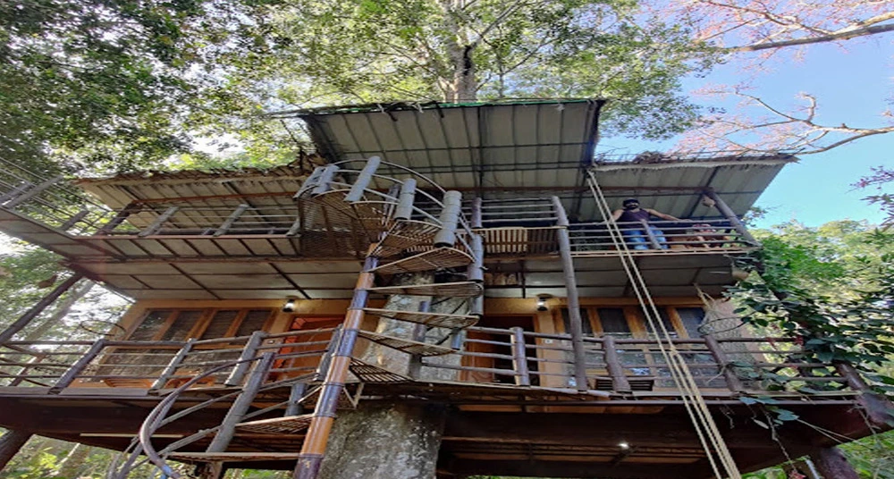 TREE HOUSE BY JUNGLE JIVE