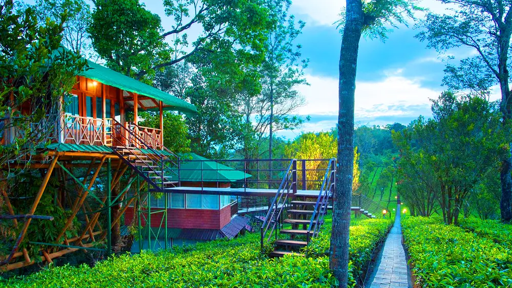 DREAM CATCHERS RESORT MUNNAR