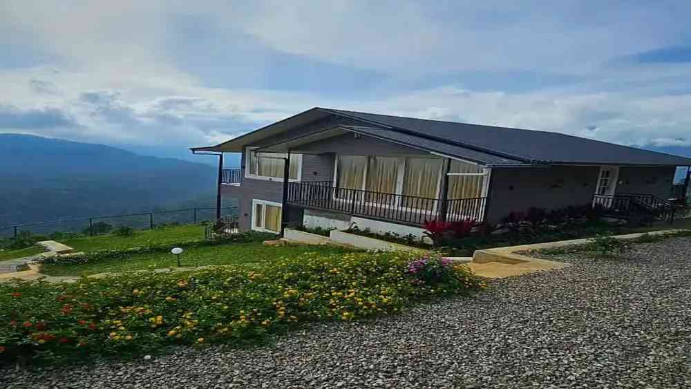 Wild Lilly Eco Tourism