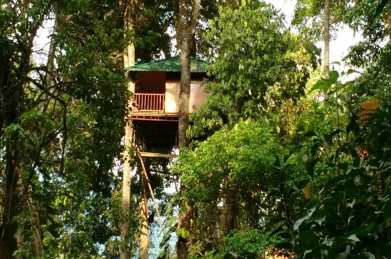Ela Ecoland Tree House Munnar private wooden treehouse cottage cabin elevated amidst forest trees
