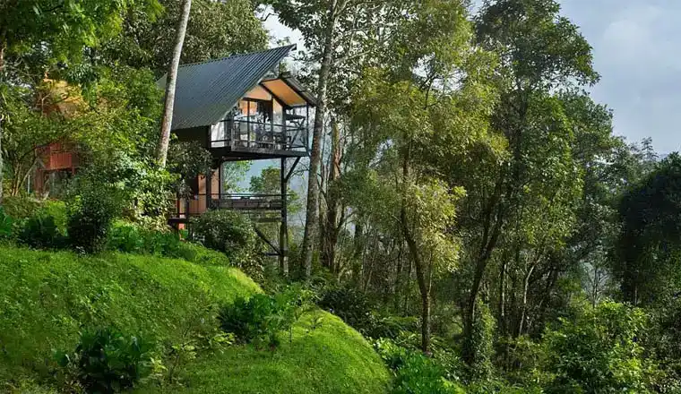 BAMBOO DALE TREEHOUSE RESORT