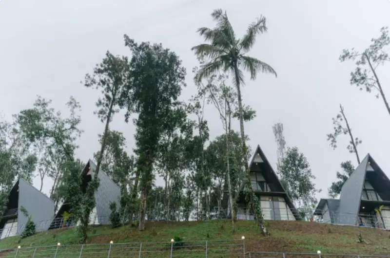 Modern A-frame cabins at Swag Vista Resort Munnar surrounded by tall trees and mountain mist in Rajakkad