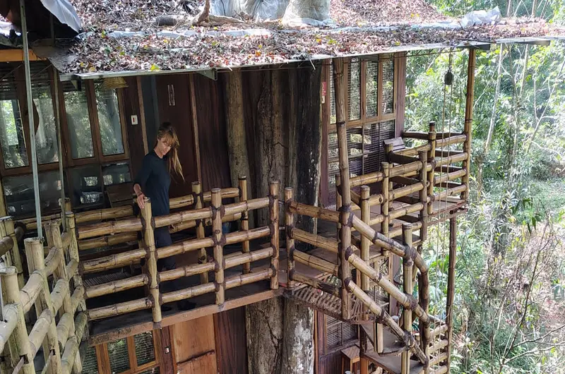 TREE HOUSE BY JUNGLE JIVE