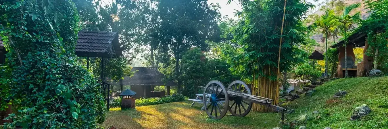 Lush green garden pathway leading to forest view rooms at Beyond Eco Living homestay