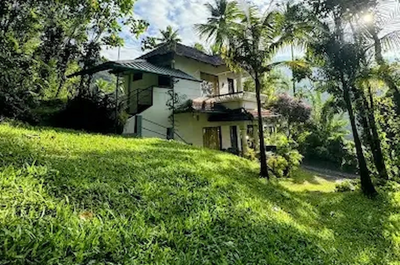 Thoppil Homestay Munnar nestled in lush green nature and foliage