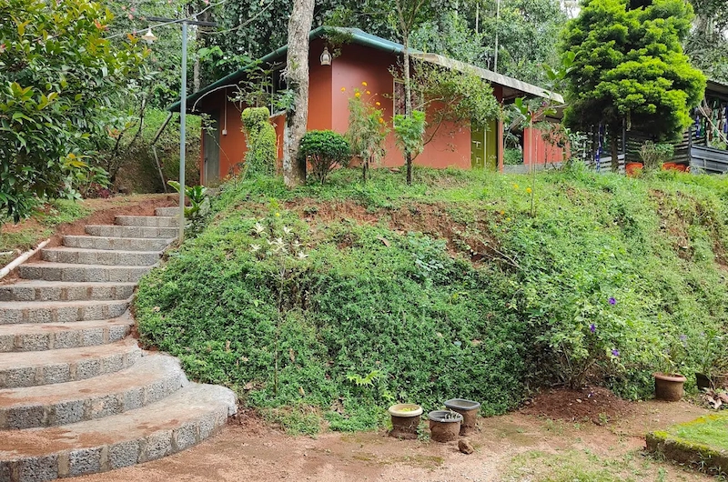 Pepper County Farm Stay cottage with stone steps surrounded by lush greenery in Munnar