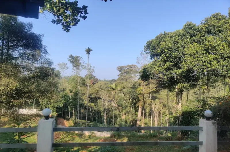 Colonia-Munnar-Homestay