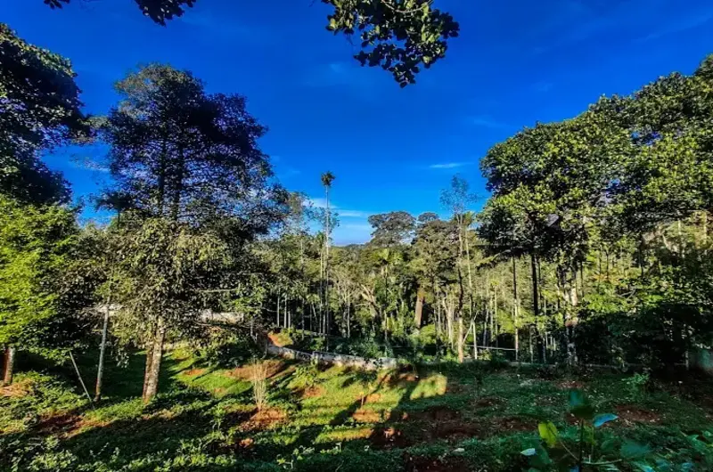 Colonia-Munnar-Homestay