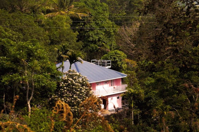 Drizzle_Valley_Cottage_Munnar