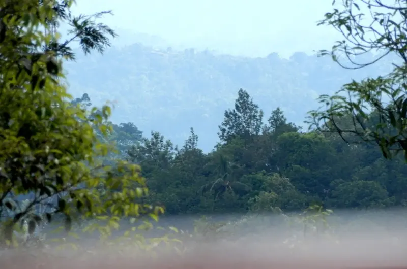 Drizzle_Valley_Cottage_Munnar