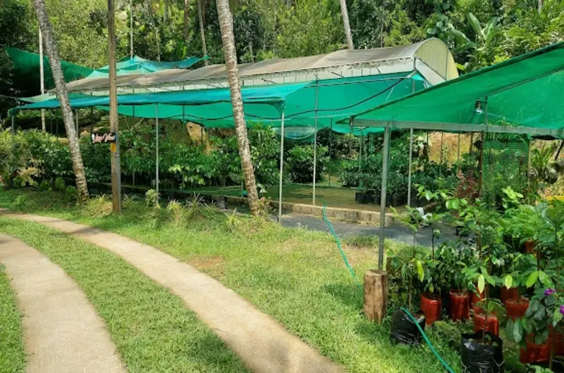 Fab-Valley-Homestay