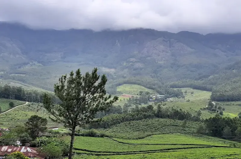 grace-inn-munnar-homestay