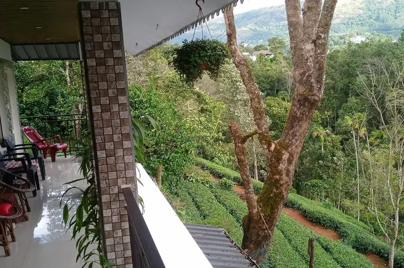Green_Tea_View_Munnar