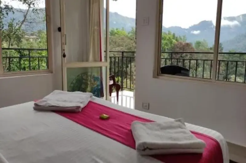 Green_Tea_View_Munnar