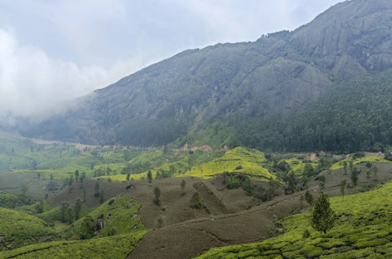 Lamond-Holidays-Munnar