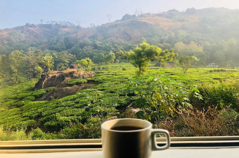 Tea-Dale-homestay-munnar