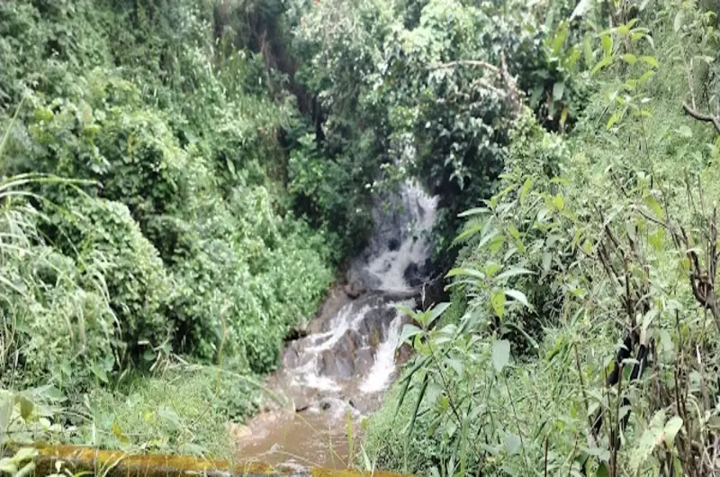 Misty-Way-Munnar