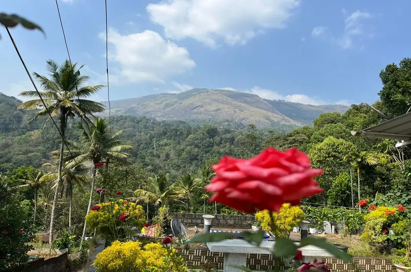 nature-family-homestay-munnar