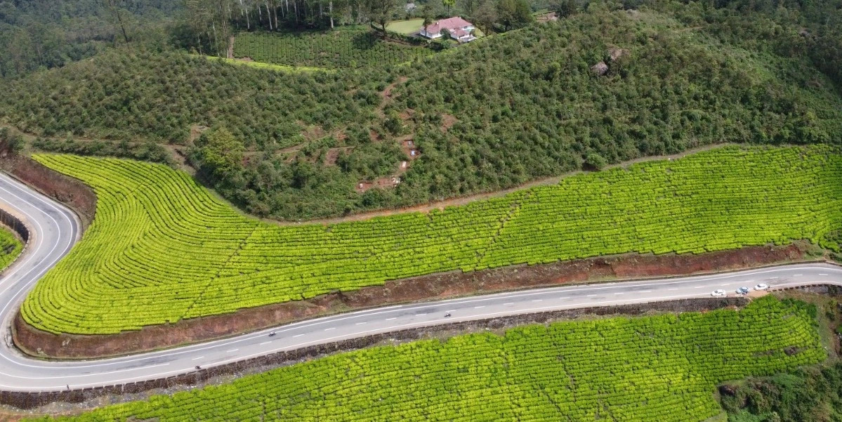 Aerial view of winding road through green tea plantation hills in Western Ghats Kerala
