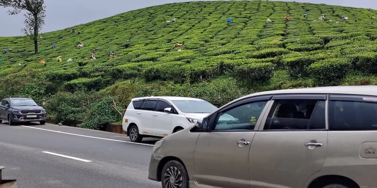 Silver SUV driving along a winding road through lush, rolling green tea plantations in Munnar.
