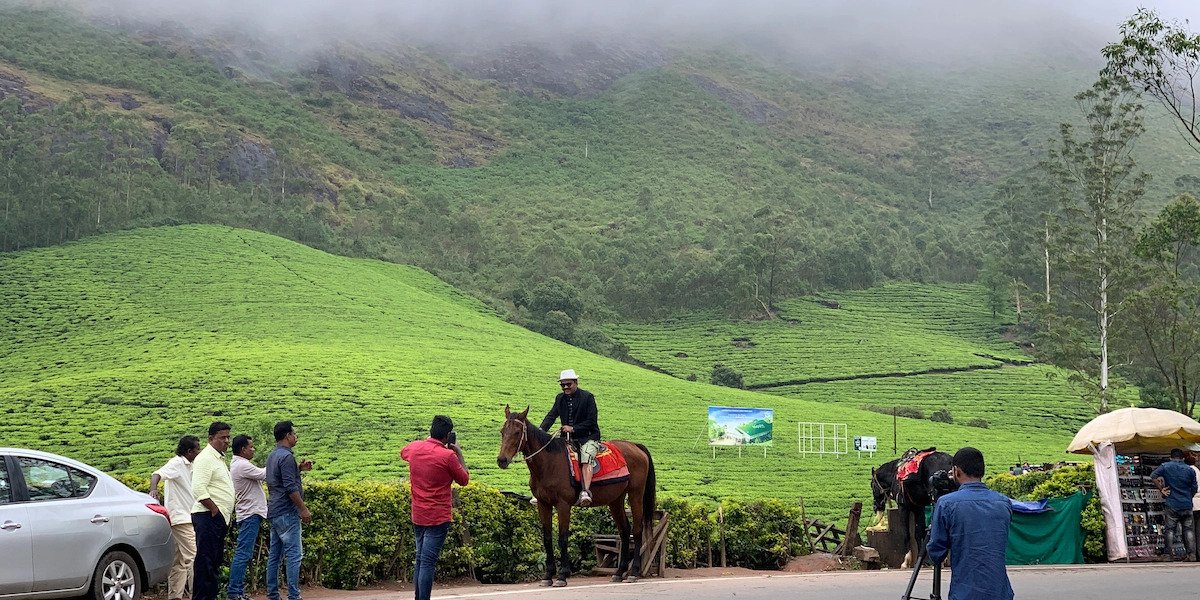 Tourists gathered along a scenic mountain road overlooking tea plantations in Munnar