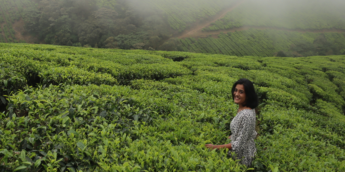 Tourist standing amidst lush green tea plantations in Munnar under overcast skies