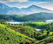 munnar tourism