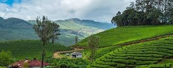 munnar-tourism-reaches
