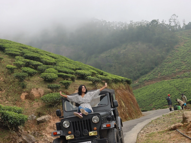 Misty tea estate hillside along a curved road in forest tourism area