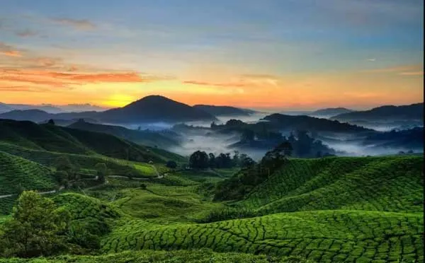 Top Station - Echo Point, Munnar