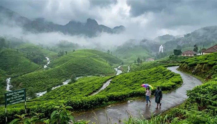Misty hills of Munnar during the southwest monsoon season