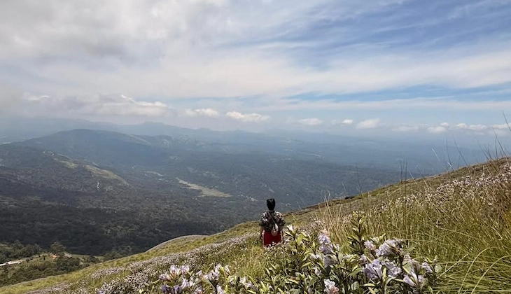Trekker standing on grassy slope of Chokramudi Peak with scenic mountain vistas in Munnar