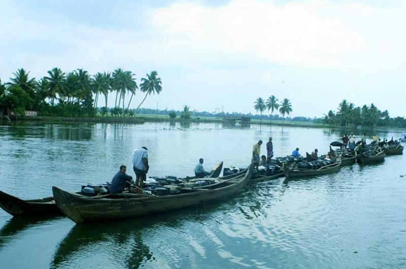 Essential Kerala Heights & Waters: Munnar, Alleppey & Kovalam