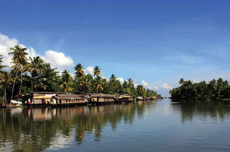 Misty Peaks & Quiet Waters: Munnar & Kumarakom Escape Overview