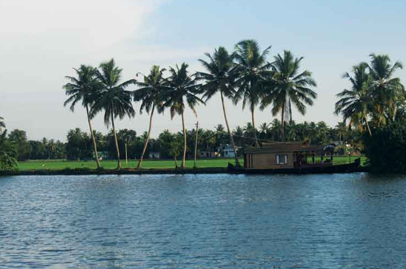 The Aqua-Green Corridor: Munnar, Thekkady & Kumarakom