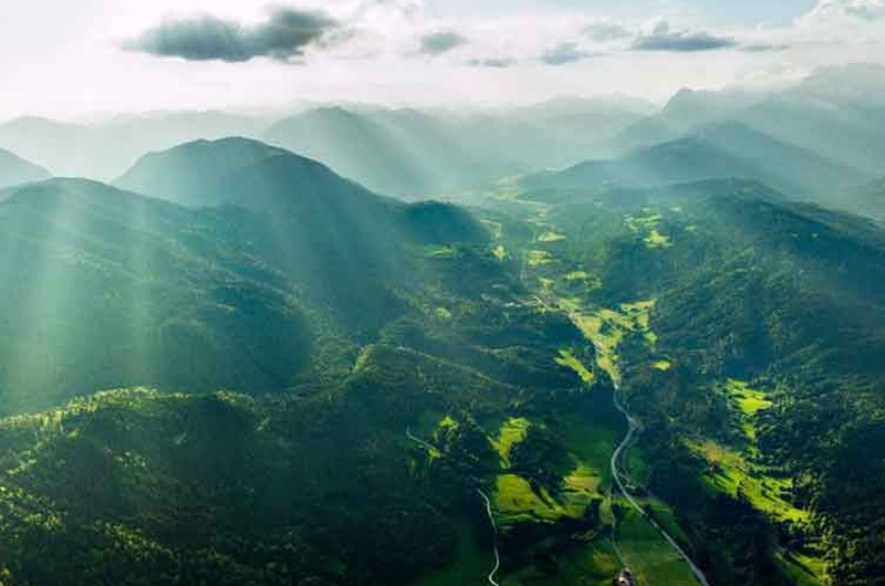 Grand Kerala Highlights: 8-Day Hills, Backwaters & Beach Escape