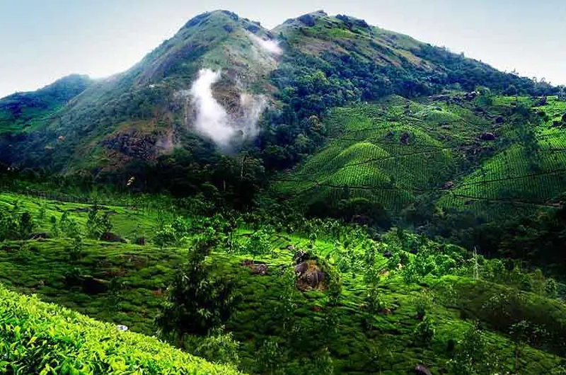 Discover Kerala Nature: 10-Day Grand Hills & Beach Tour