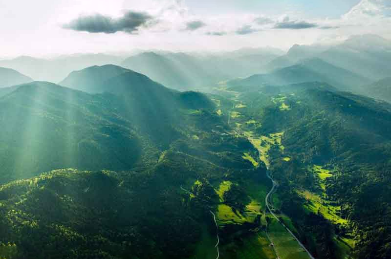 8-Day Grand Kerala Discovery: Hills, Wildlife & Southern Beaches