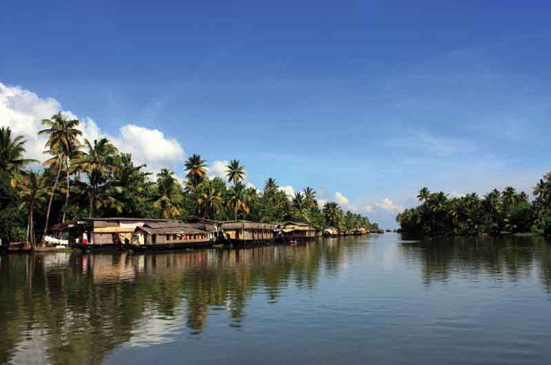 4-Day Munnar & Kumarakom Bliss: Tea Gardens to Backwater Cruise